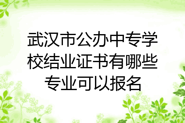 武汉市公办中专学校结业证书有哪些专业可以报名