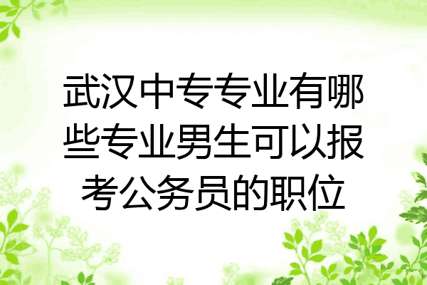 武汉中专专业有哪些专业男生可以报考公务员的职位