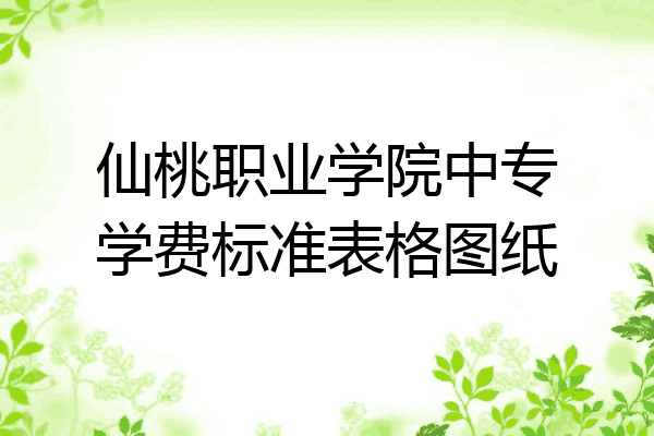 仙桃职业学院中专学费标准表格图纸