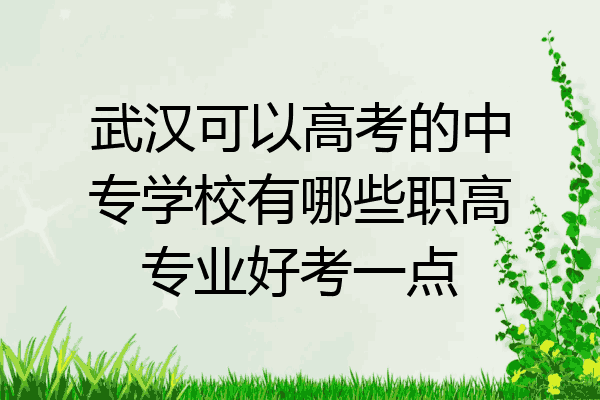 武汉可以高考的中专学校有哪些职高专业好考一点