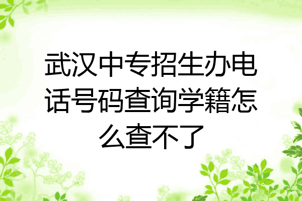 武汉中专招生办电话号码查询学籍怎么查不了