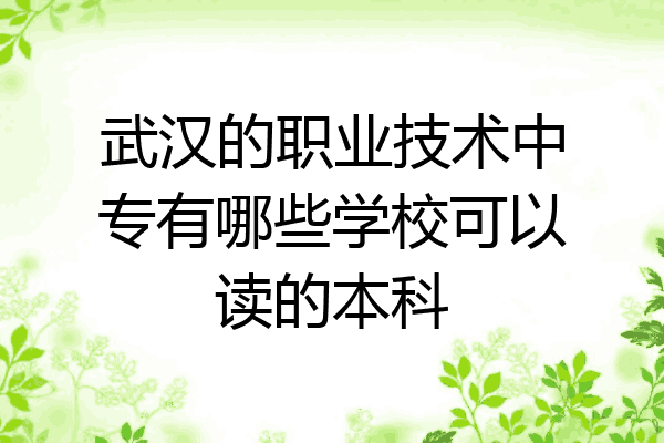 武汉的职业技术中专有哪些学校可以读的本科