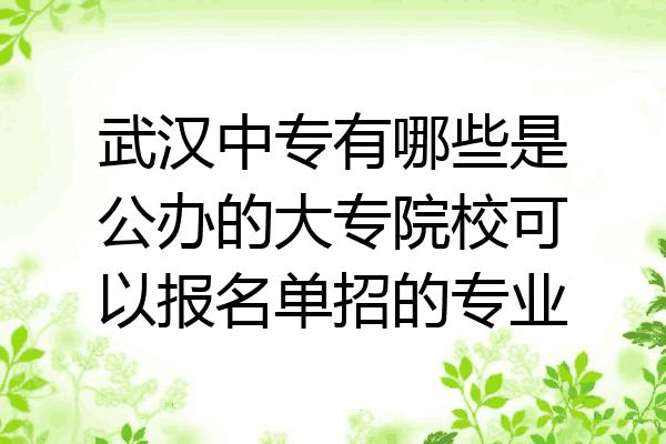 武汉中专有哪些是公办的大专院校可以报名单招的专业