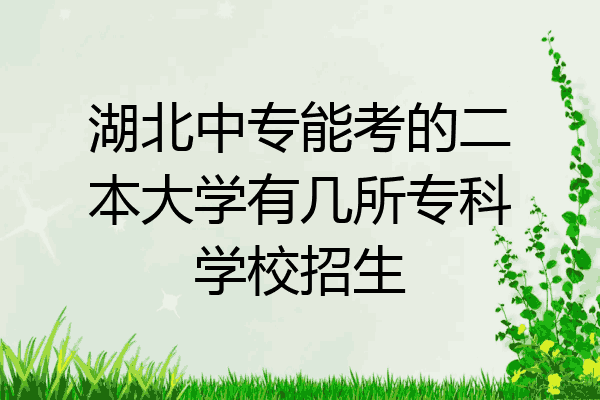 湖北中专能考的二本大学有几所专科学校招生