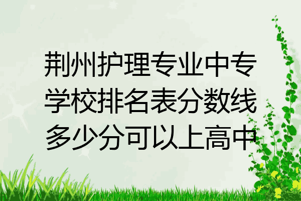 荆州护理专业中专学校排名表分数线多少分可以上高中