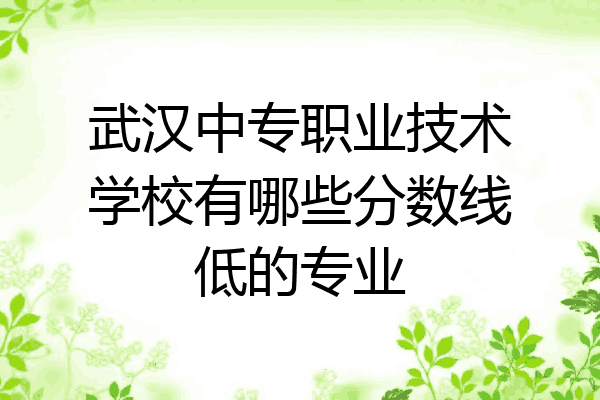 武汉中专职业技术学校有哪些分数线低的专业
