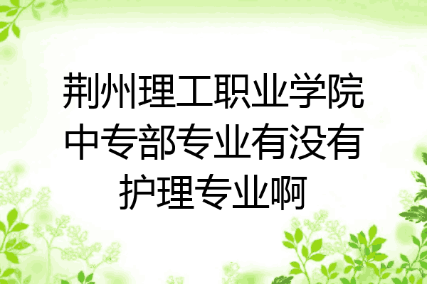 荆州理工职业学院中专部专业有没有护理专业啊