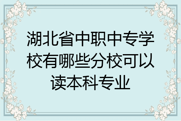 湖北省中职中专学校有哪些分校可以读本科专业