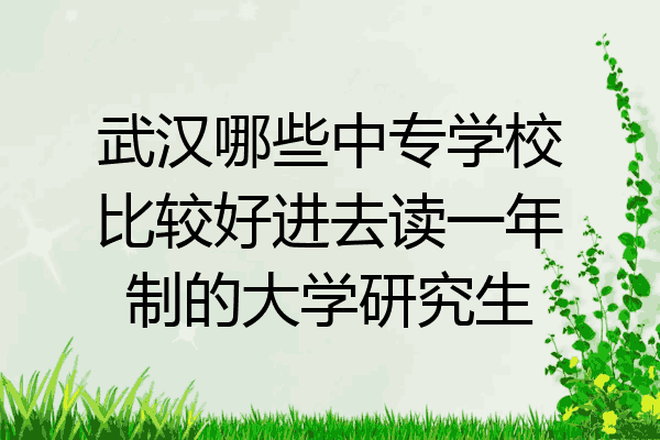 武汉哪些中专学校比较好进去读一年制的大学研究生
