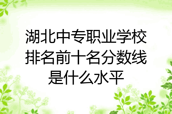 湖北中专职业学校排名前十名分数线是什么水平