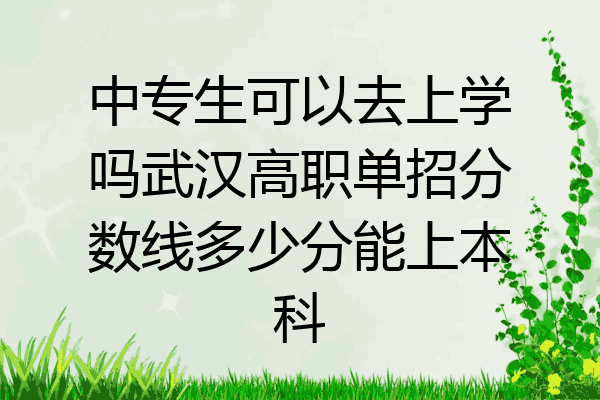 中专生可以去上学吗武汉高职单招分数线多少分能上本科