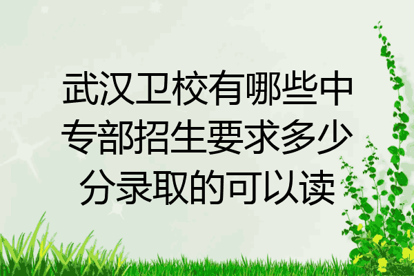 武汉卫校有哪些中专部招生要求多少分录取的可以读
