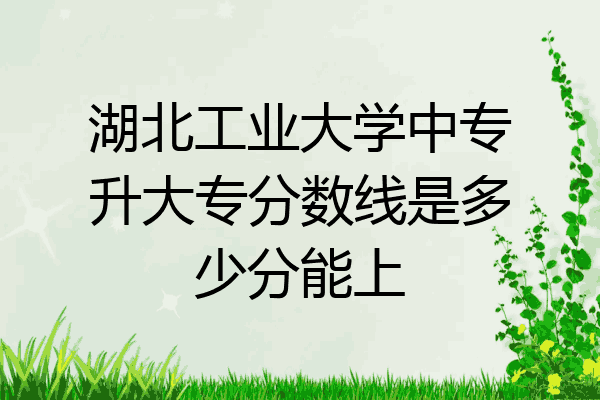 湖北工业大学中专升大专分数线是多少分能上