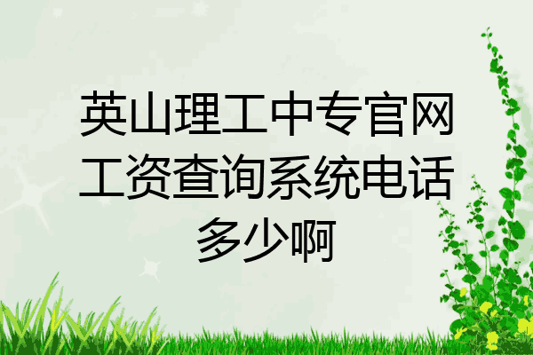 英山理工中专官网工资查询系统电话多少啊