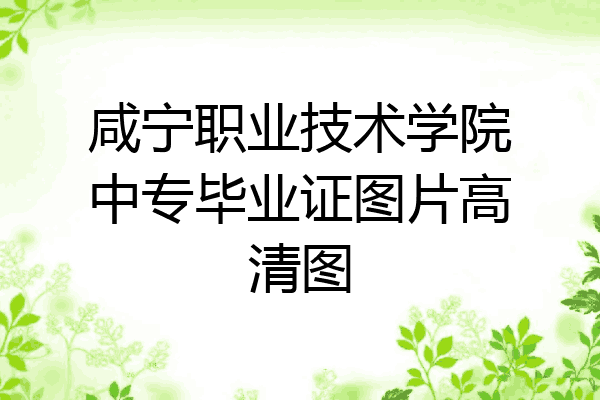 咸宁职业技术学院中专毕业证图片高清图