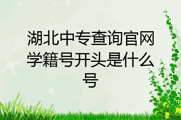 湖北中专查询官网学籍号开头是什么号