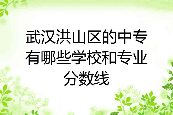 武汉洪山区的中专有哪些学校和专业分数线