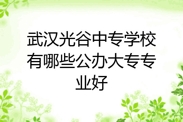 武汉光谷中专学校有哪些公办大专专业好