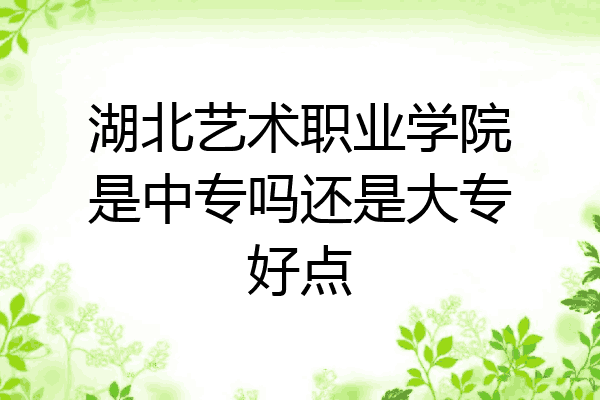 湖北艺术职业学院是中专吗还是大专好点