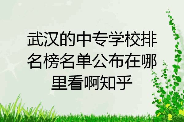 武汉的中专学校排名榜名单公布在哪里看啊知乎