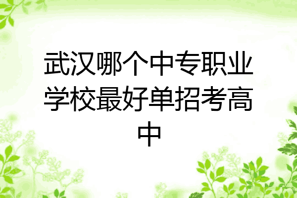 武汉哪个中专职业学校最好单招考高中