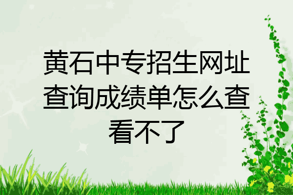 黄石中专招生网址查询成绩单怎么查看不了