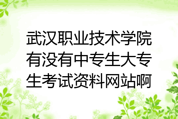 武汉职业技术学院有没有中专生大专生考试资料网站啊