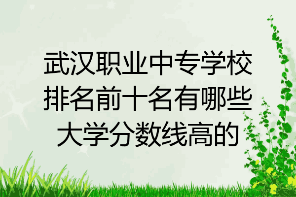 武汉职业中专学校排名前十名有哪些大学分数线高的