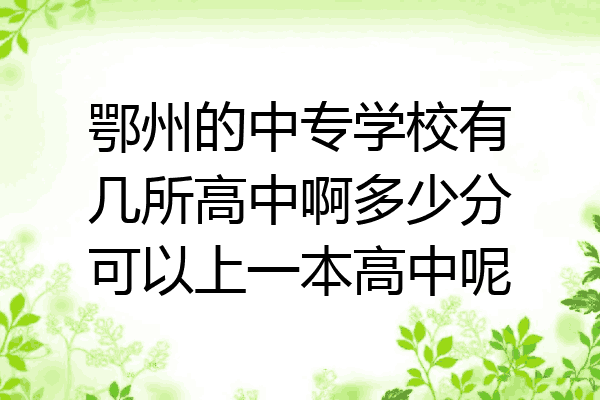 鄂州的中专学校有几所高中啊多少分可以上一本高中呢