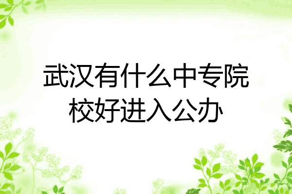 武汉有什么中专院校好进入公办