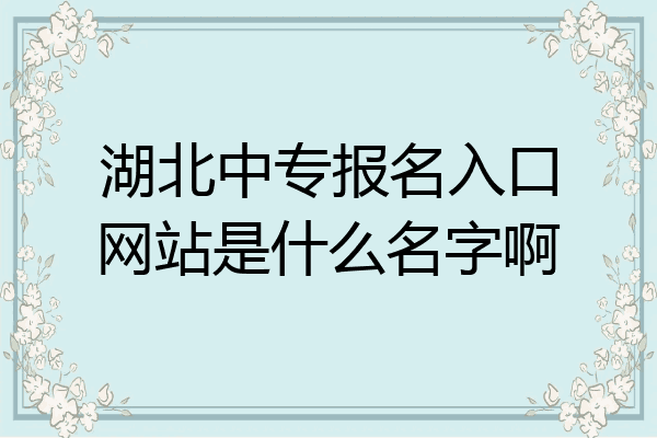 湖北中专报名入口网站是什么名字啊