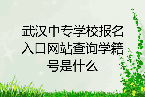 武汉中专学校报名入口网站查询学籍号是什么