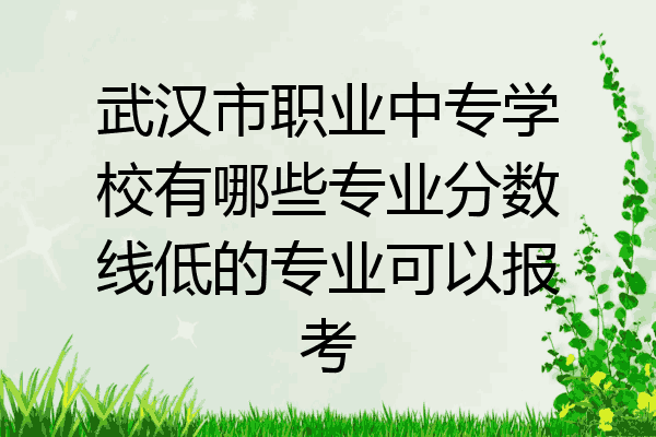 武汉市职业中专学校有哪些专业分数线低的专业可以报考