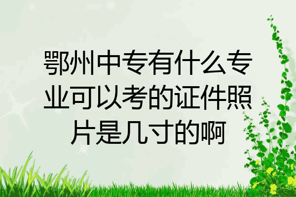 鄂州中专有什么专业可以考的证件照片是几寸的啊