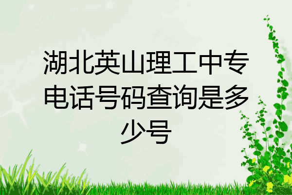 湖北英山理工中专电话号码查询是多少号