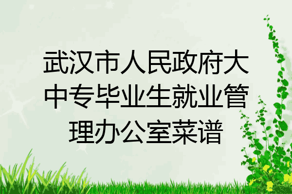 武汉市人民政府大中专毕业生就业管理办公室菜谱