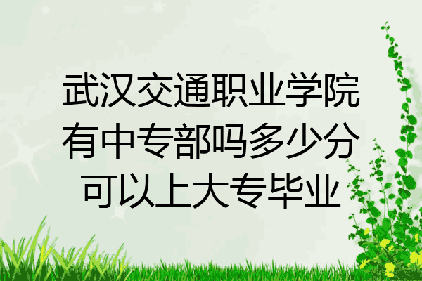 武汉交通职业学院有中专部吗多少分可以上大专毕业