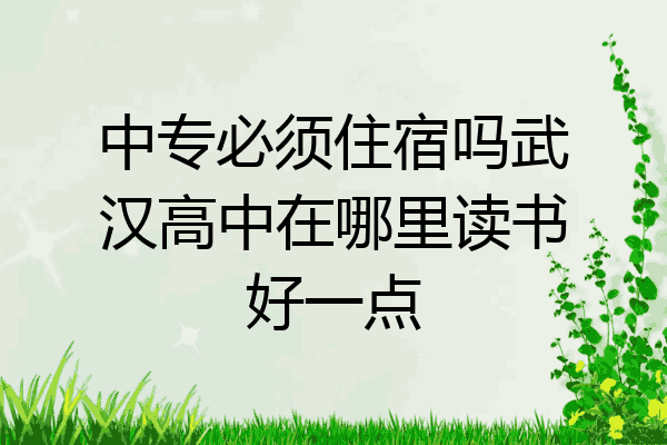 中专必须住宿吗武汉高中在哪里读书好一点