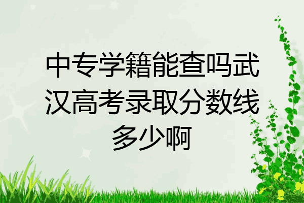 中专学籍能查吗武汉高考录取分数线多少啊