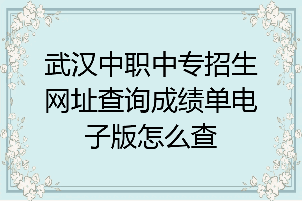 武汉中职中专招生网址查询成绩单电子版怎么查