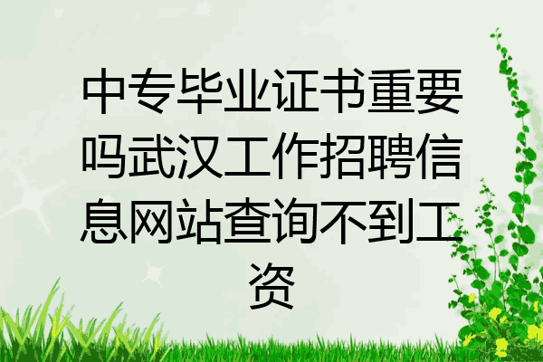 中专毕业证书重要吗武汉工作招聘信息网站查询不到工资