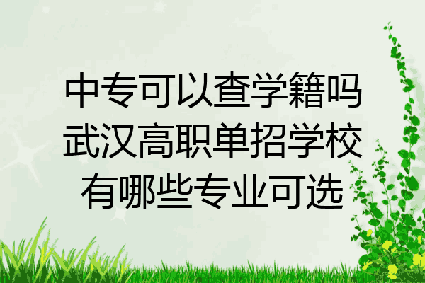 中专可以查学籍吗武汉高职单招学校有哪些专业可选