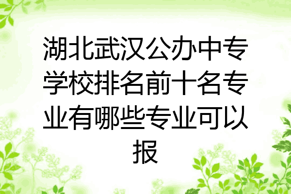 湖北武汉公办中专学校排名前十名专业有哪些专业可以报