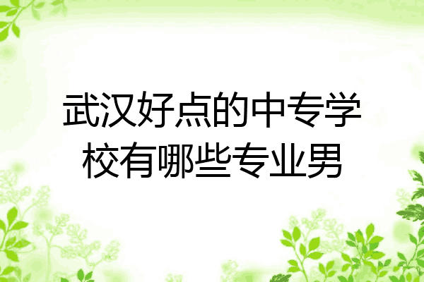武汉好点的中专学校有哪些专业男