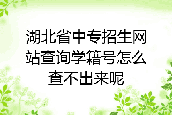 湖北省中专招生网站查询学籍号怎么查不出来呢