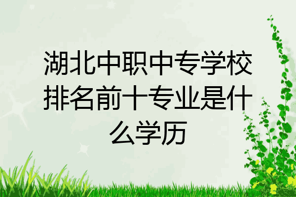 湖北中职中专学校排名前十专业是什么学历
