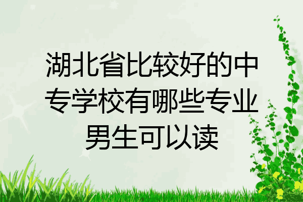 湖北省比较好的中专学校有哪些专业男生可以读