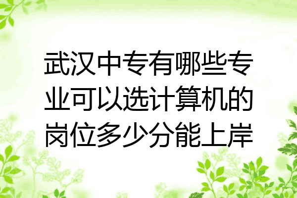 武汉中专有哪些专业可以选计算机的岗位多少分能上岸