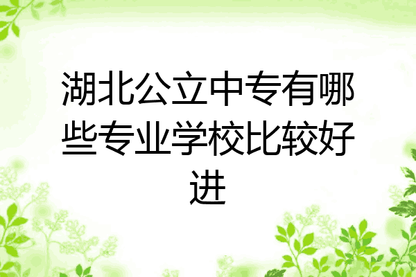 湖北公立中专有哪些专业学校比较好进
