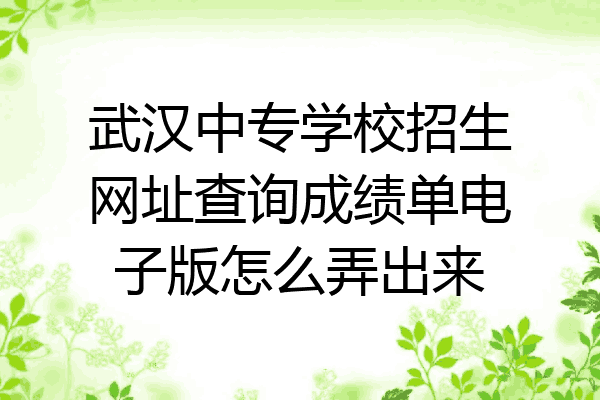 武汉中专学校招生网址查询成绩单电子版怎么弄出来